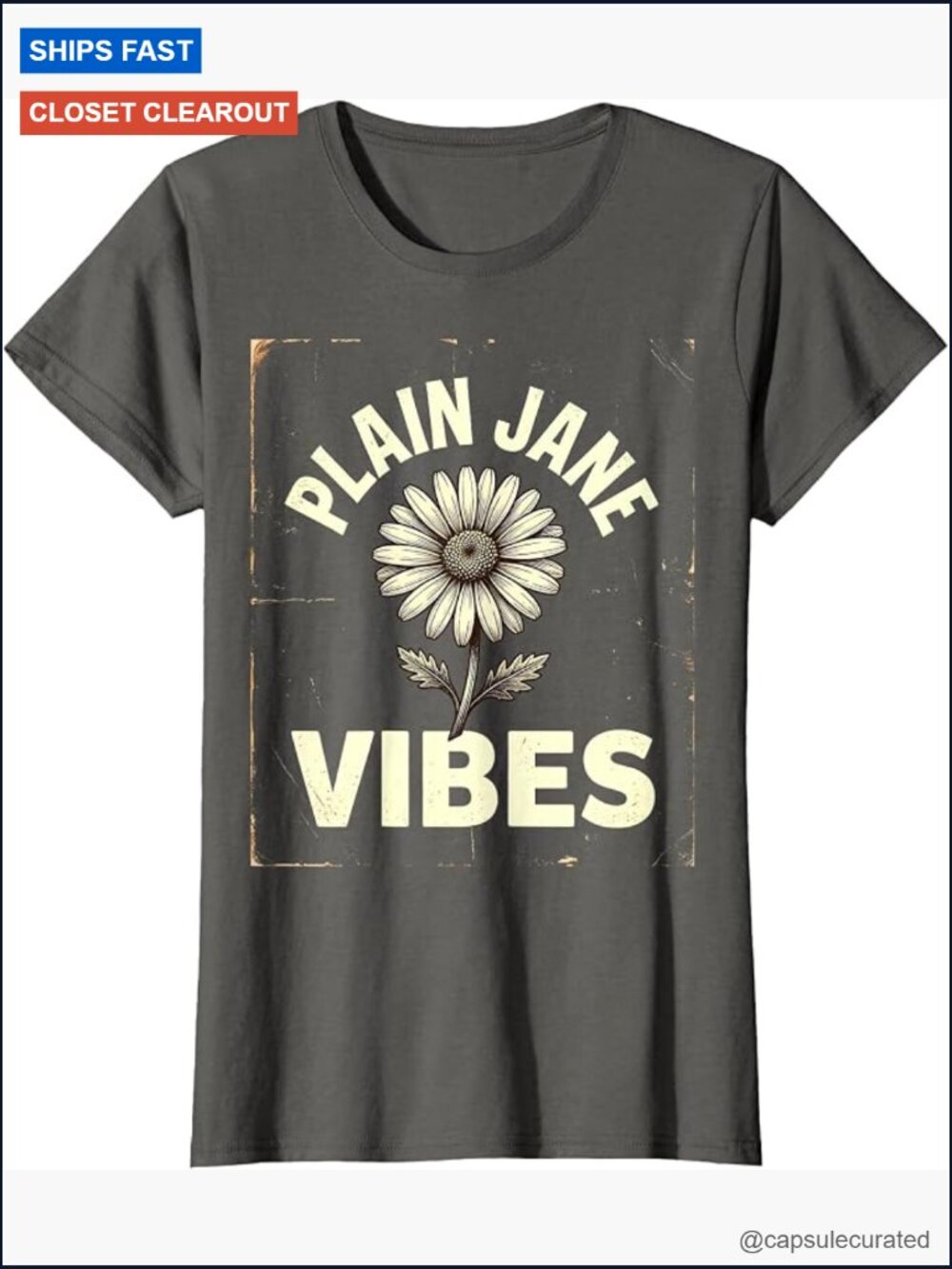 Plain Jane Vibes Minimalist Aesthetic Design T-Shirt, Minimalist Typography Tee - Picture 1 of 2
